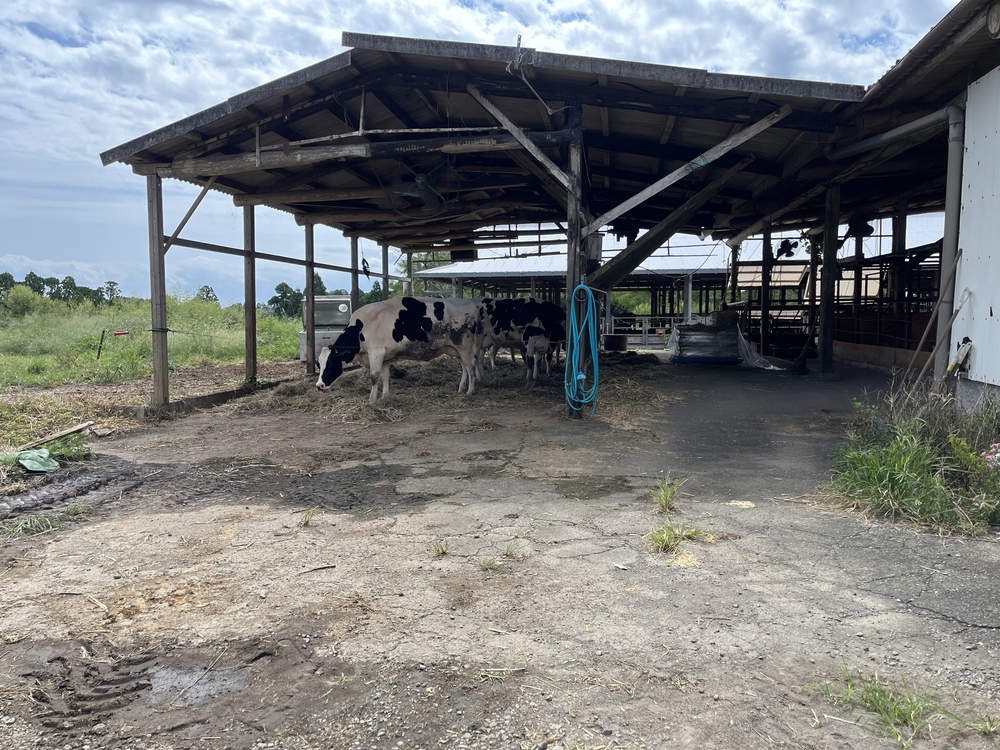 命を支える循環型酪農