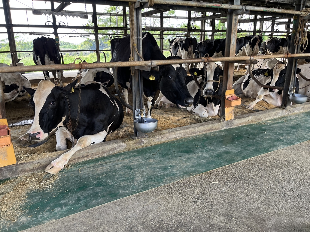 良質なエサとストレスの少ない環境