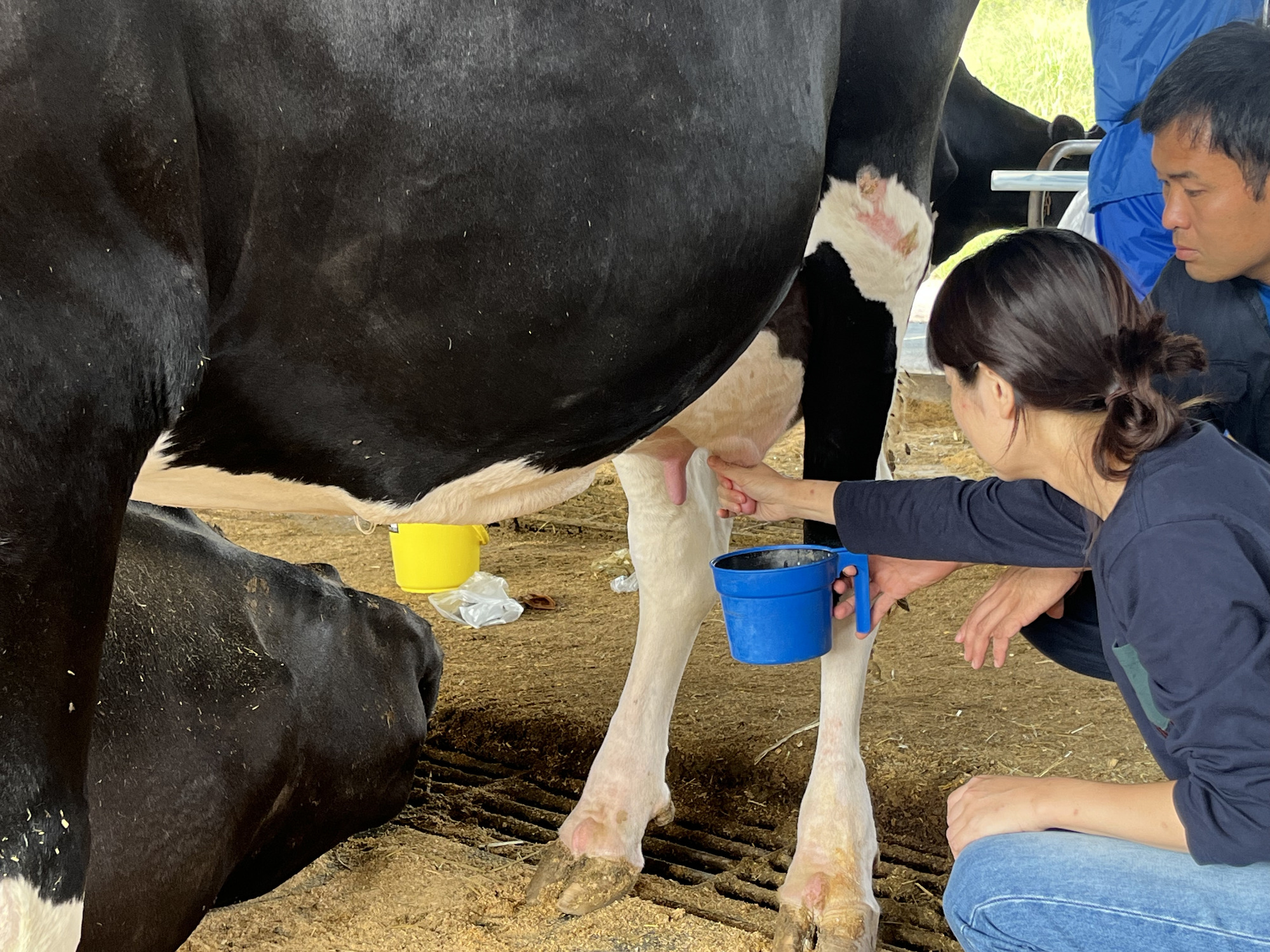 “味わい・体験”として伝える牧場体験