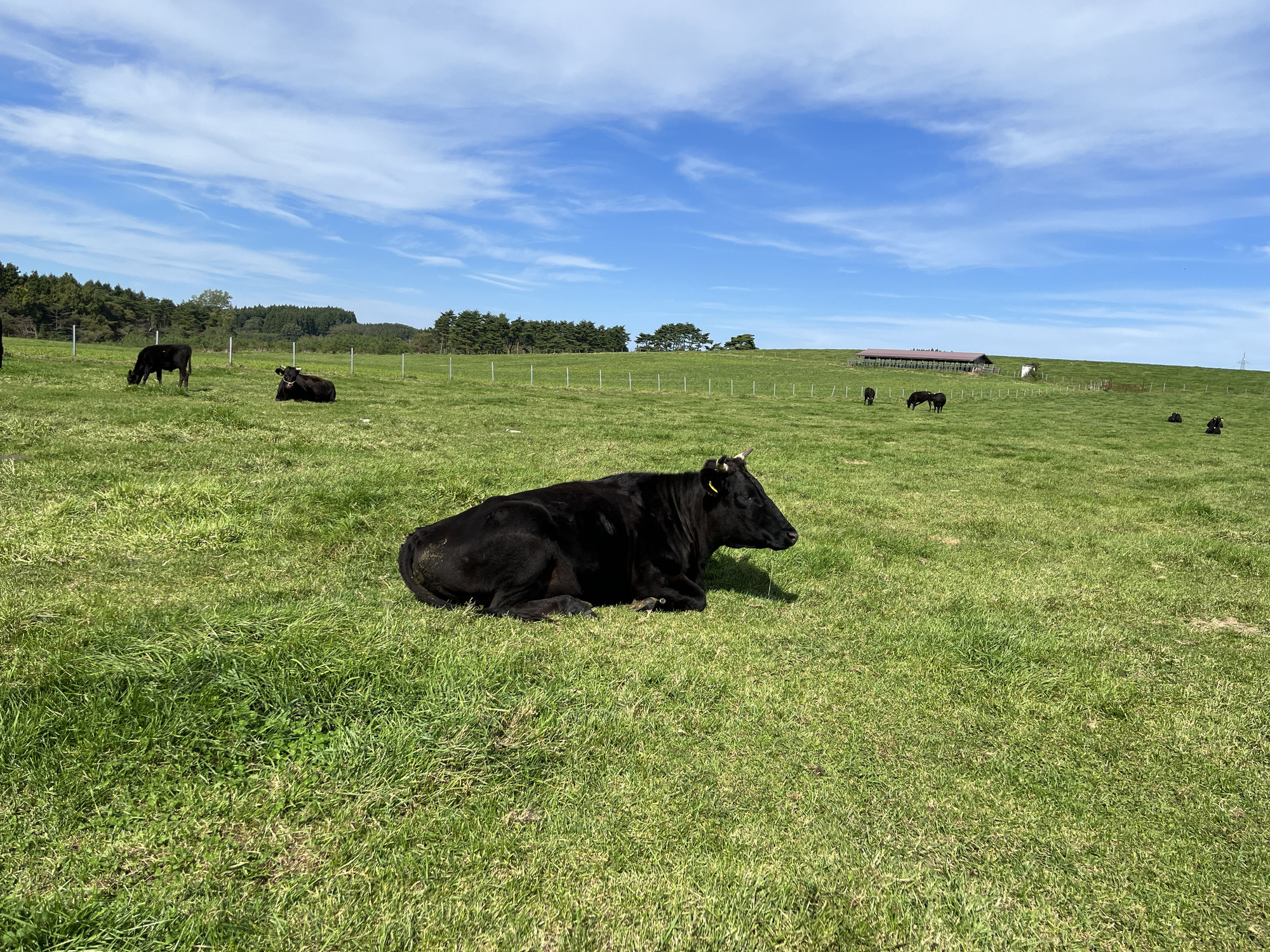 「風景を食べる」循環型畜産