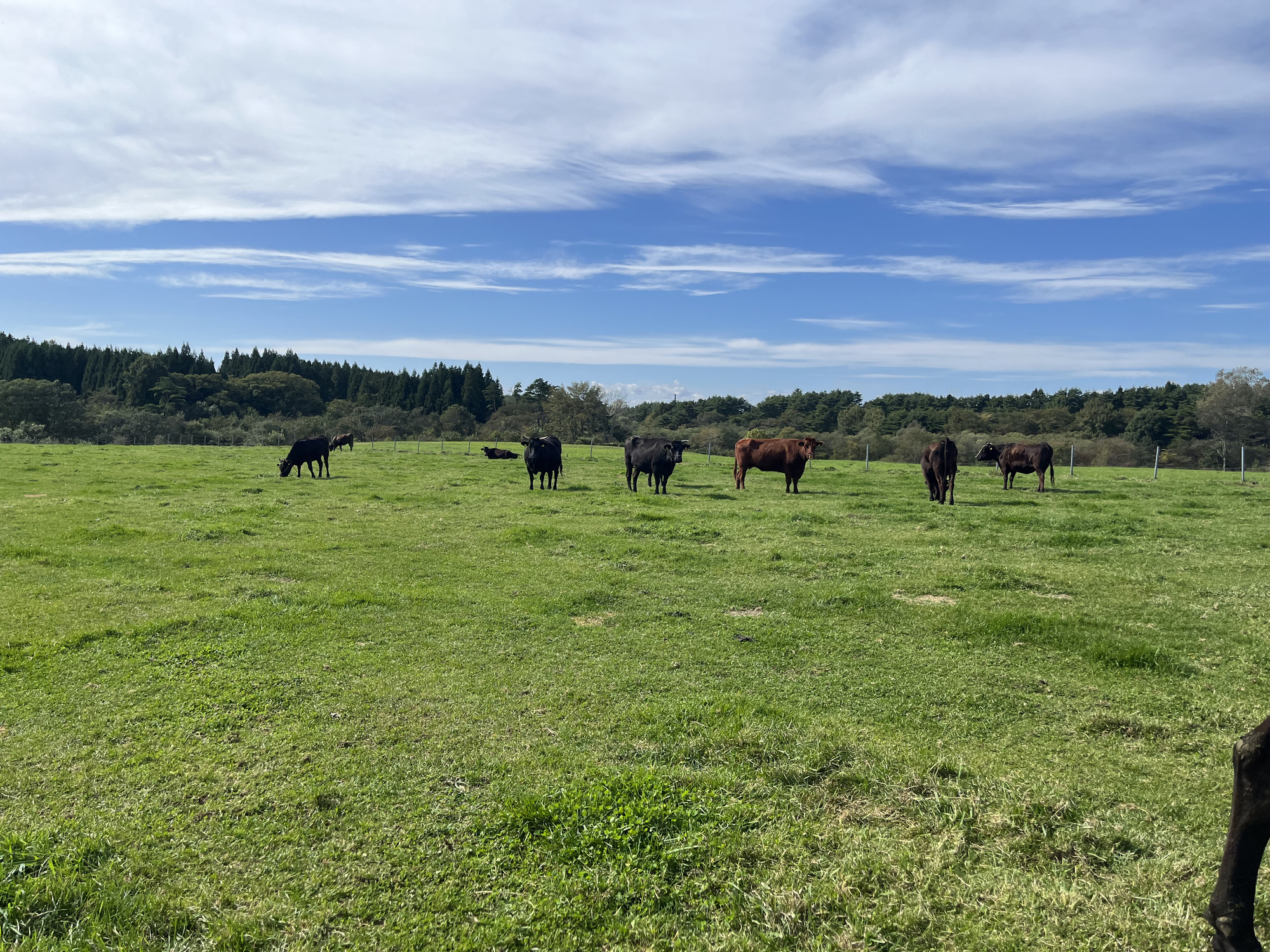 育てるところから届けるまで、一貫したものづくり