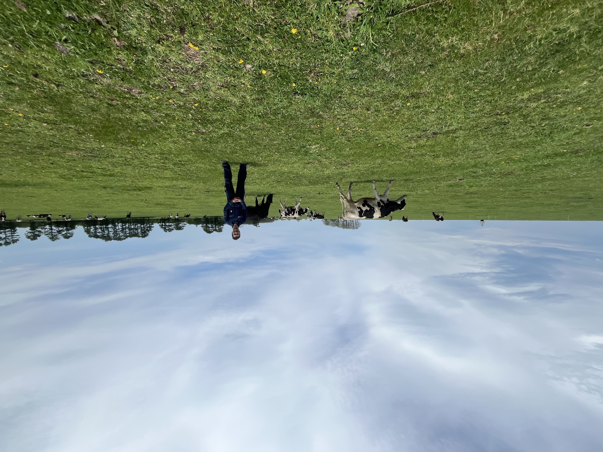 ここが鈴木牧場🐮