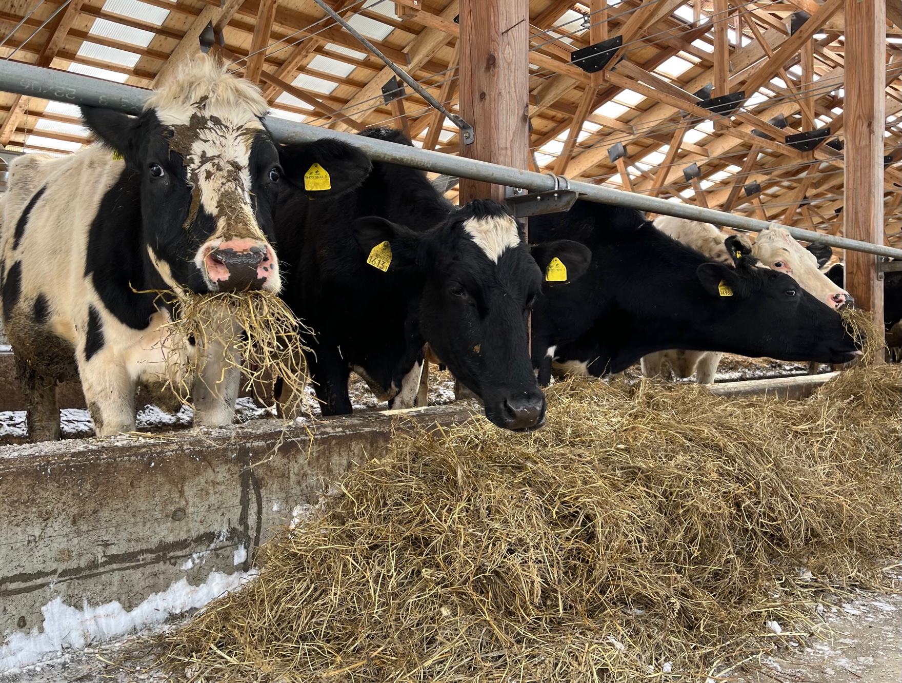 食いしん坊はどの子だ☺️