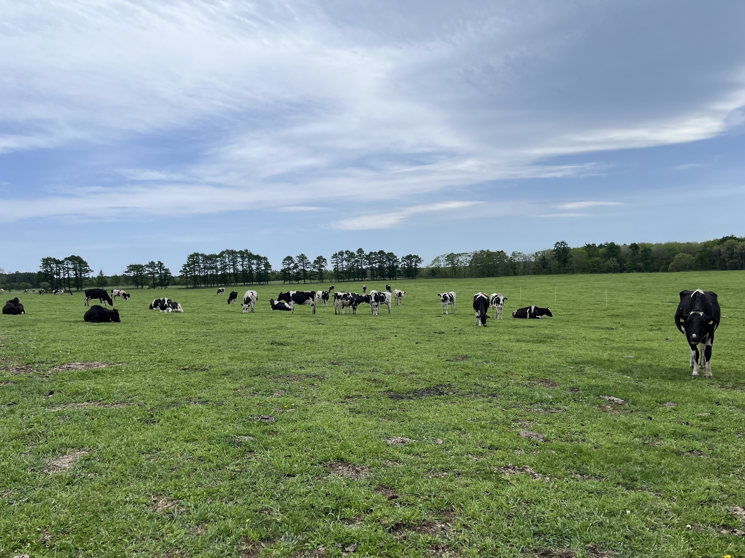 とにかく広い！