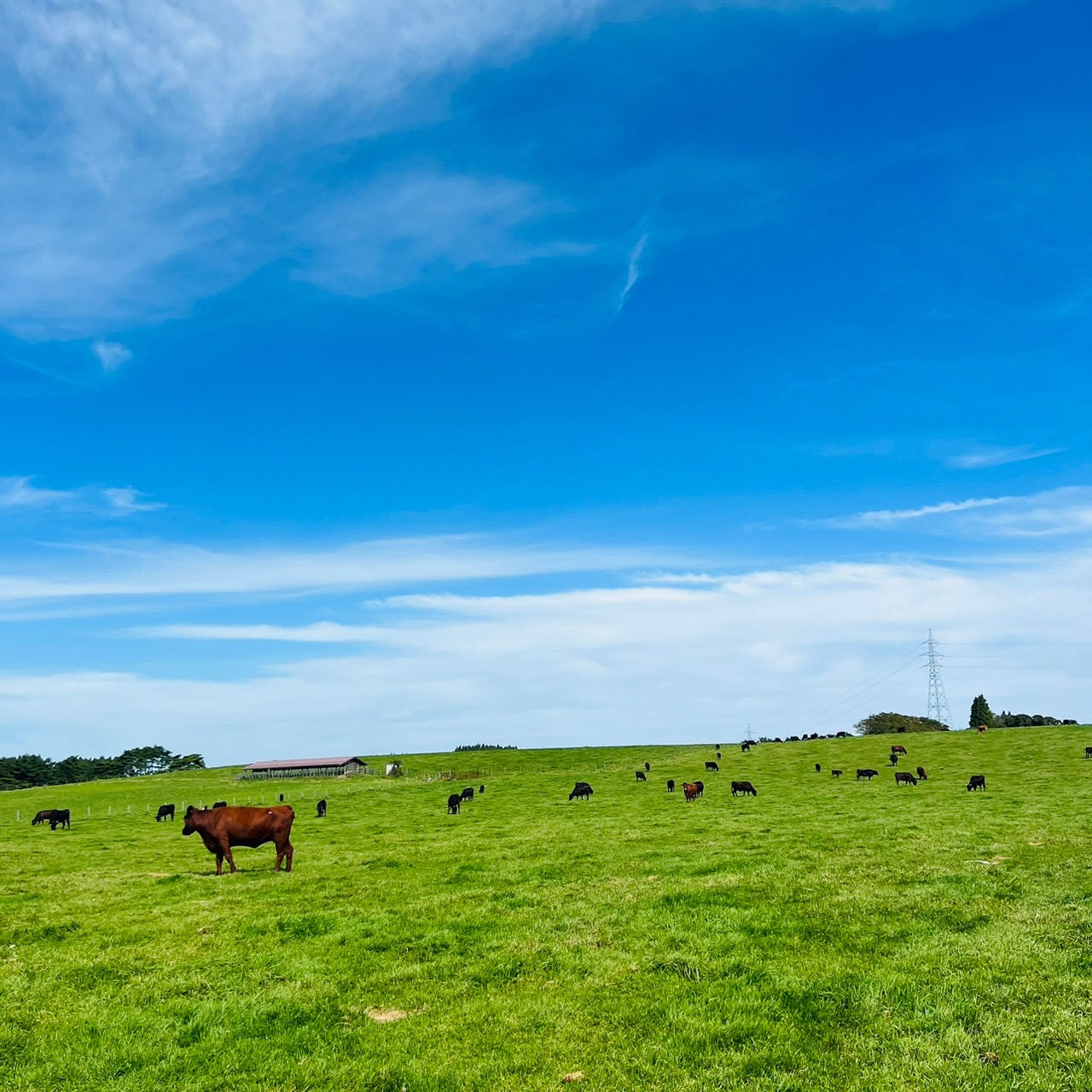 青と緑のコントラスト